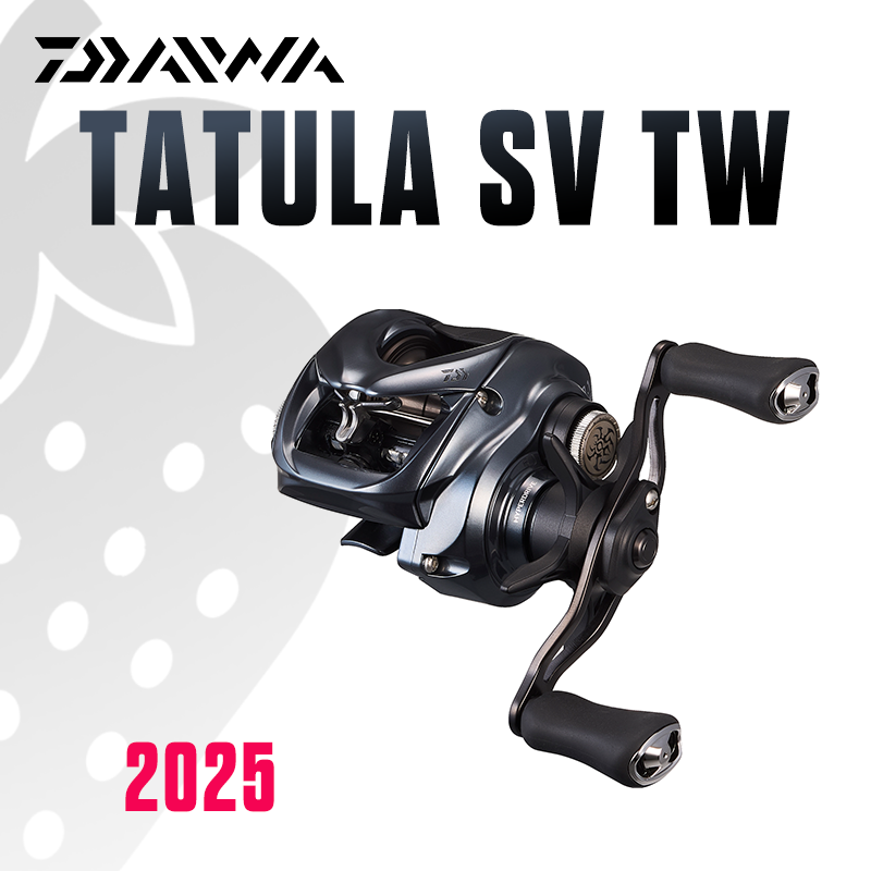 DAIWA 2025 TATULA SV TW100 Fis - Abu Garcia Reel Max recension och pris